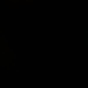 Meet your Posher, Rodney